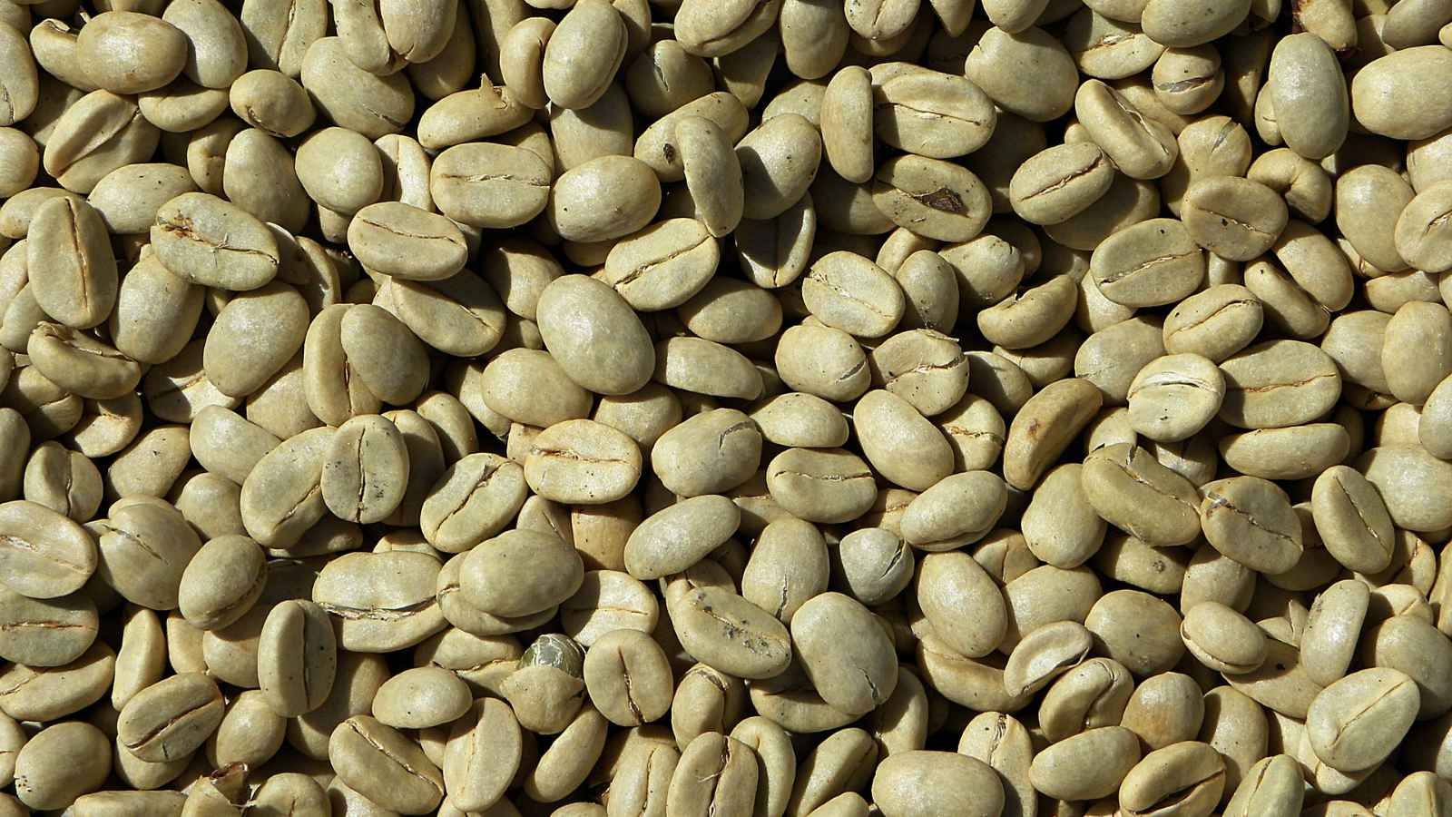 Caffè verde: come si usa e quali sono i suoi benefici