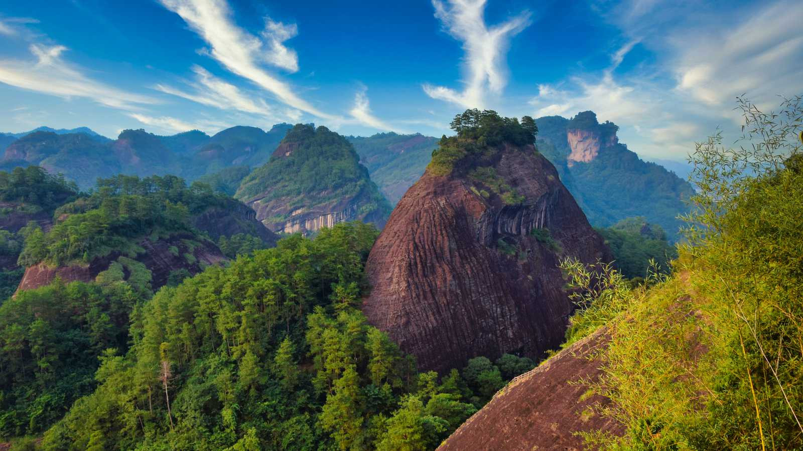 Cinque cose che dovete sapere sul Da Hong Pao e sui tè Oolong dei monti Wuyi